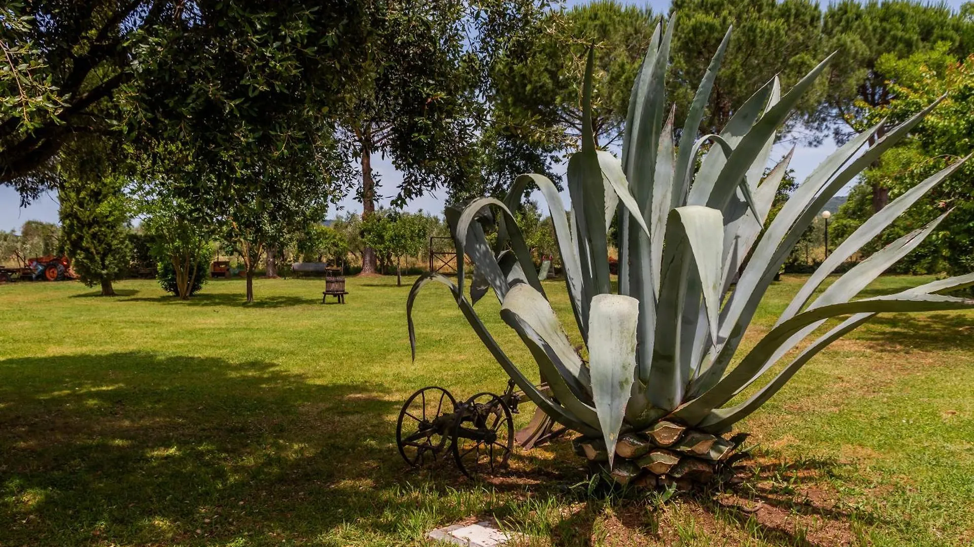 Agriturismo Giardini Di Varrone Bagno Roselle