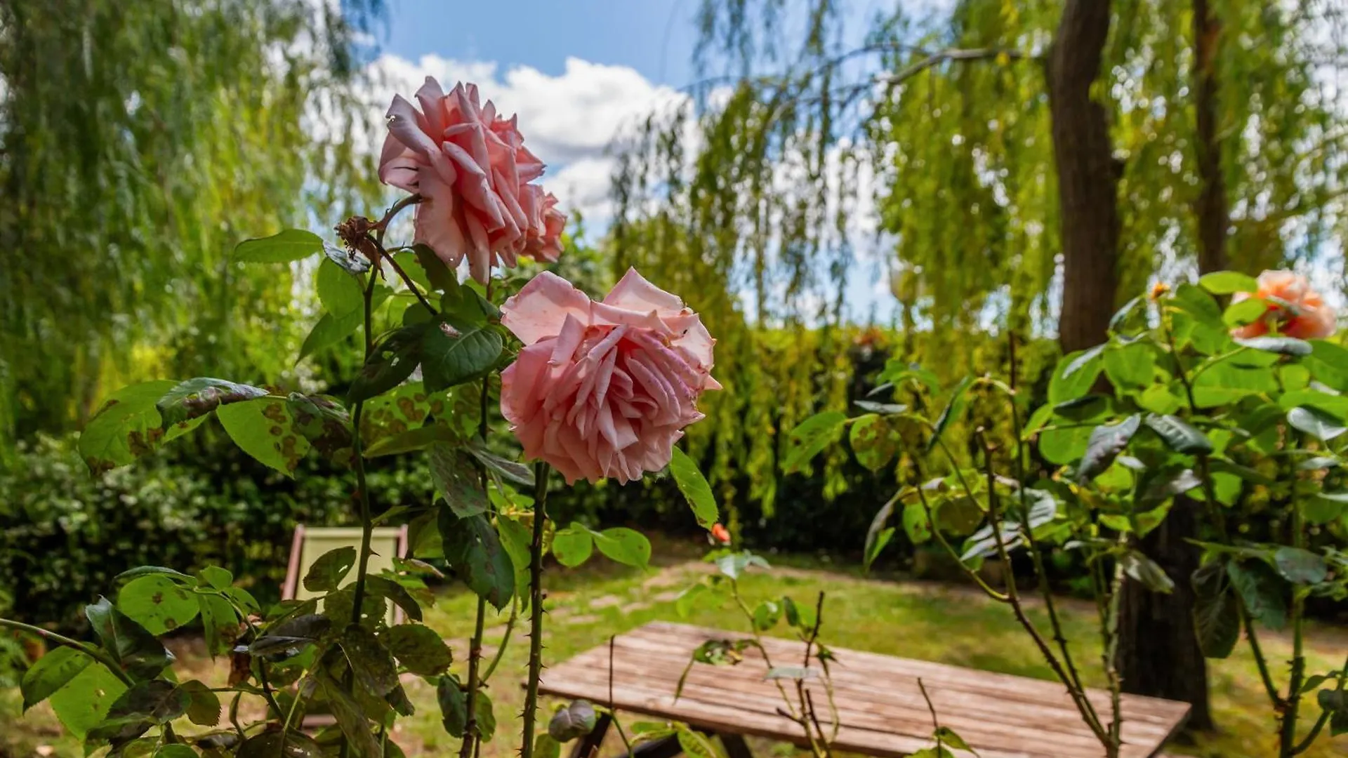 Agriturismo Giardini Di Varrone Bagno Roselle